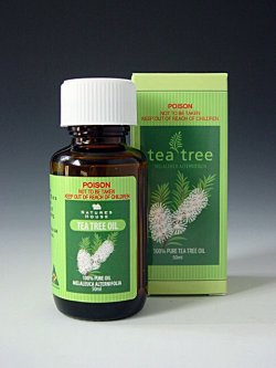 画像1: ティーツリーオイル【Tea Tree Oil】(50ml)