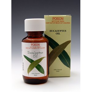 画像: ユーカリオイル【EUCALYPTUS OIL】(50ml)